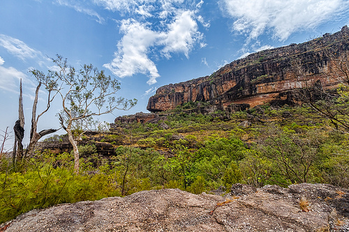 Kakadu National Park - Flickr/Marc Dalmulder 